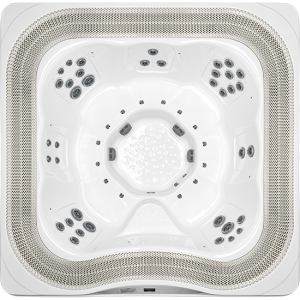 Delfi Spa Oasis (переливной)