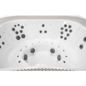 Delfi Spa Oasis (переливной)